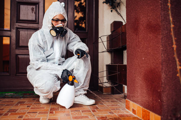 Attic and Crawl Space Rodent Treatment in Manhattan